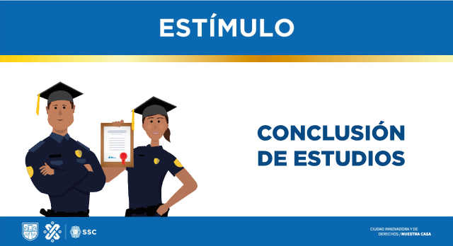 Conclusión Estudios