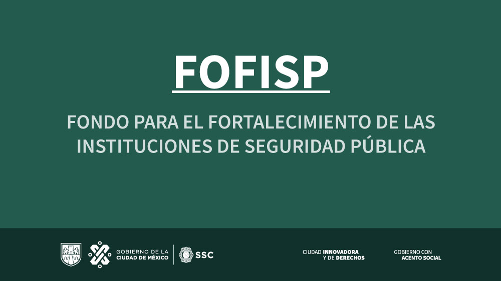 Enlace a Fondo para el Fortalecimiento de las Instituciones de Seguridad Pública