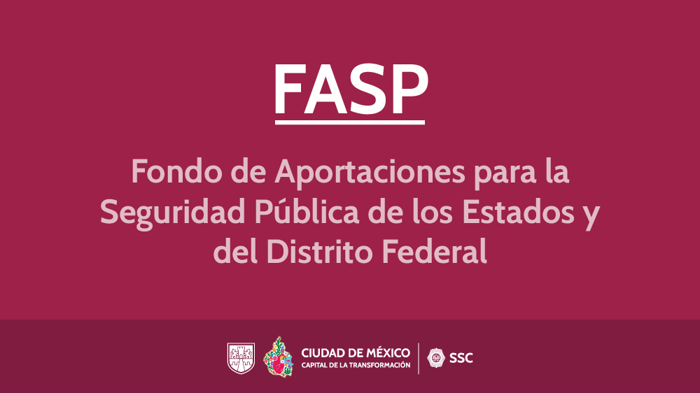 Enlace a Fondo de Aportaciones para la Seguridad Pública de los Estados y del Distrito Federal