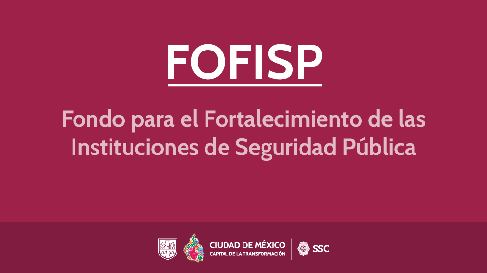 Enlace a Fondo para el Fortalecimiento de las Instituciones de Seguridad Pública