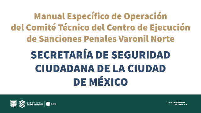 Manual sanciones penales varonil norte