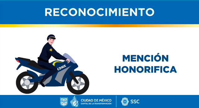 Desempeño Especializado