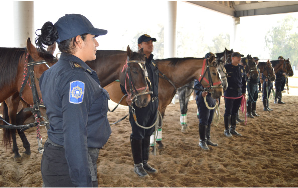 agrupamiento-a-caballo-(1).JPG