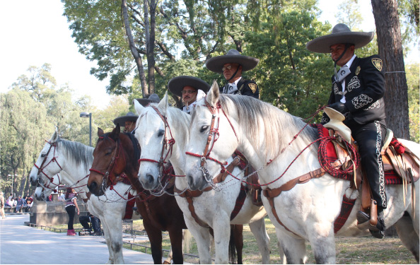 agrupamiento-a-caballo-(3).JPG