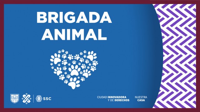 banners comunicados-24.jpg