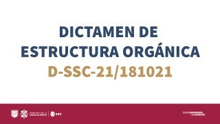 dictamenestructuraorganica.jpg