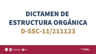 dictamenestructura-D-SSC-11-211123.jpg