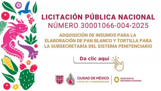 LPN-004-2025.jpg