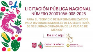 Licitación-30001066-008-2025.jpg
